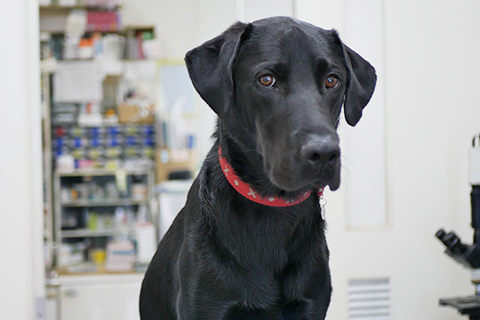 インフォームドコンセントの徹底